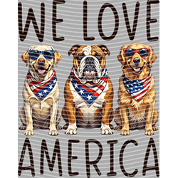 Animal Text Series-AT 3604
